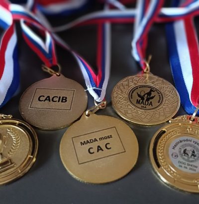 Ocenění 4
