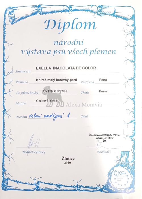 Ocenění_Exella_1