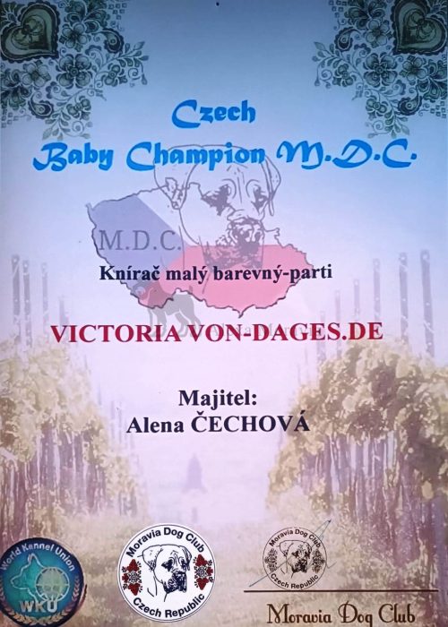 Viki_ocenění_02